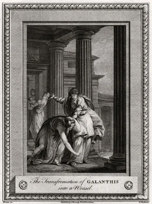 Framed Print : The Transformation of Galanthis into a Weasel, 1777. Artist: W Walker Framed Print : The Transformation of Galanthis into a Weasel, 1777. Artist: W Walker