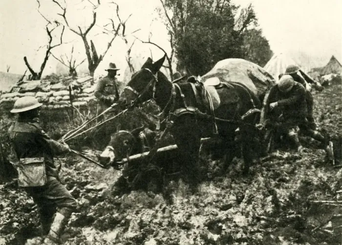 Framed Print : Transport Difficulties in the Swamps of Flanders, First World War, 1917, (c1920) Framed Print : Transport Difficulties in the Swamps of Flanders, First World War, 1917, (c1920)