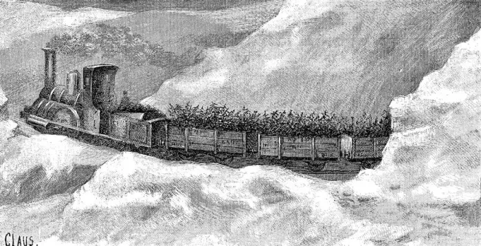 Framed Print : Transportation of fir trees by railway for Christmas celebrations in the region of Thuringia Framed Print : Transportation of fir trees by railway for Christmas celebrations in the region of Thuringia