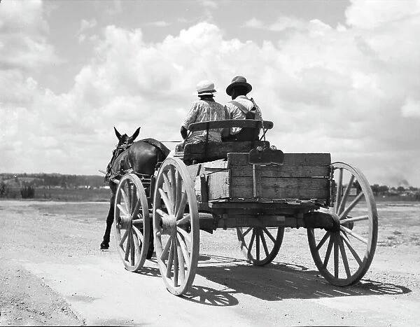 Transportation in the South, Mississippi, 1936. Creator: Dorothea Lange