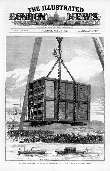 Transporting Jumbo the African elephant to America, 1882