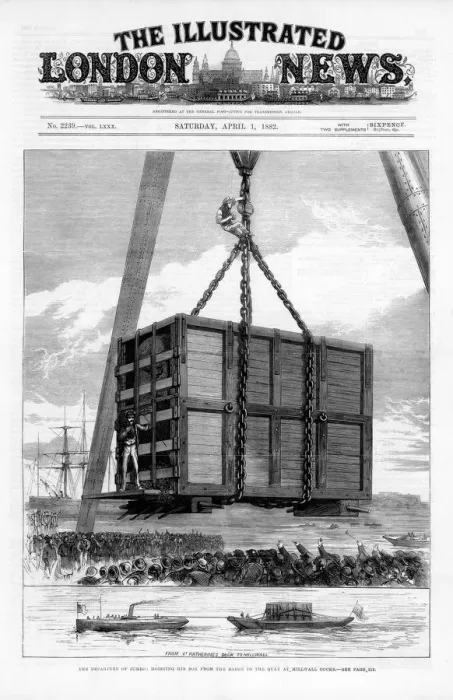 Framed Print : Transporting Jumbo the African elephant to America, 1882 Framed Print : Transporting Jumbo the African elephant to America, 1882