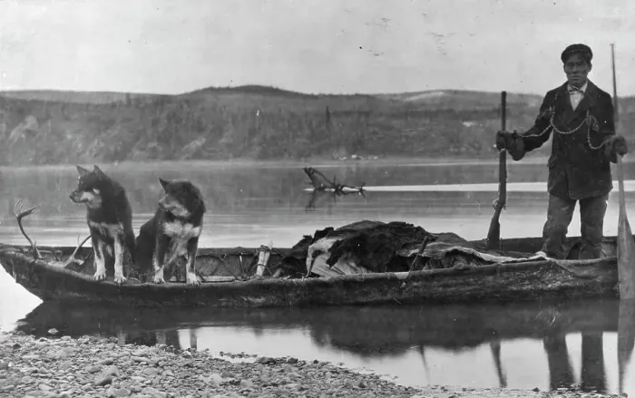 Framed Print : Trapper with hides and dogs in canoe, between c1900 and c1930. Creator: Unknown Framed Print : Trapper with hides and dogs in canoe, between c1900 and c1930. Creator: Unknown