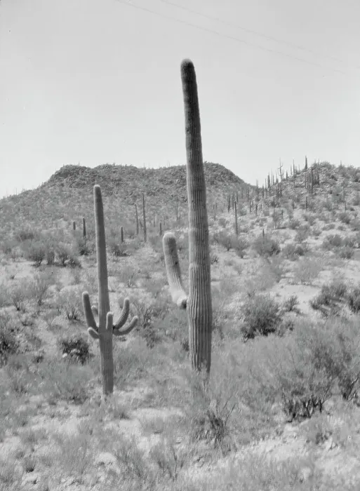 Framed Print : Travel views of the American Southwest, between 1899 and 1928. Creator: Arnold Genthe Framed Print : Travel views of the American Southwest, between 1899 and 1928. Creator: Arnold Genthe