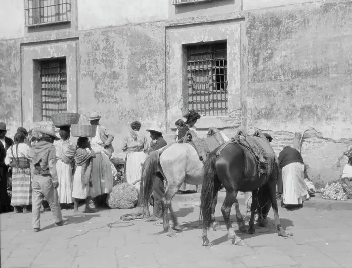 Framed Print : Travel views of Cuba and Guatemala, between 1899 and 1926. Creator: Arnold Genthe Framed Print : Travel views of Cuba and Guatemala, between 1899 and 1926. Creator: Arnold Genthe