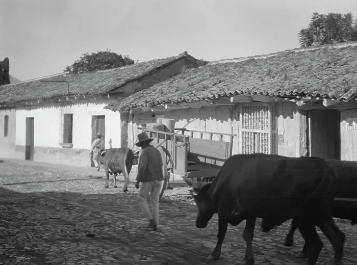Framed Print : Travel views of Cuba and Guatemala, between 1899 and 1926. Creator: Arnold Genthe Framed Print : Travel views of Cuba and Guatemala, between 1899 and 1926. Creator: Arnold Genthe