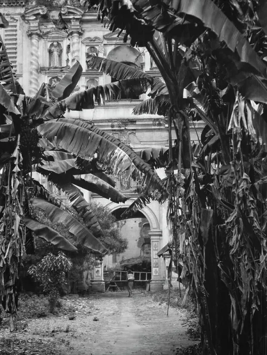 Framed Print : Travel views of Cuba and Guatemala, between 1899 and 1926. Creator: Arnold Genthe Framed Print : Travel views of Cuba and Guatemala, between 1899 and 1926. Creator: Arnold Genthe