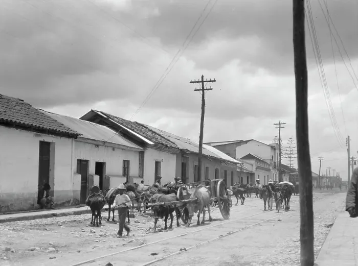Framed Print : Travel views of Cuba and Guatemala, between 1899 and 1926. Creator: Arnold Genthe Framed Print : Travel views of Cuba and Guatemala, between 1899 and 1926. Creator: Arnold Genthe