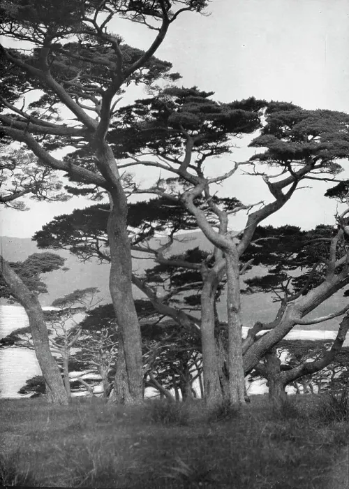 Framed Print : Travel views of Japan and Korea, 1908. Creator: Arnold Genthe Framed Print : Travel views of Japan and Korea, 1908. Creator: Arnold Genthe