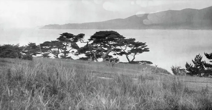 Framed Print : Travel views of Japan and Korea, 1908. Creator: Arnold Genthe Framed Print : Travel views of Japan and Korea, 1908. Creator: Arnold Genthe