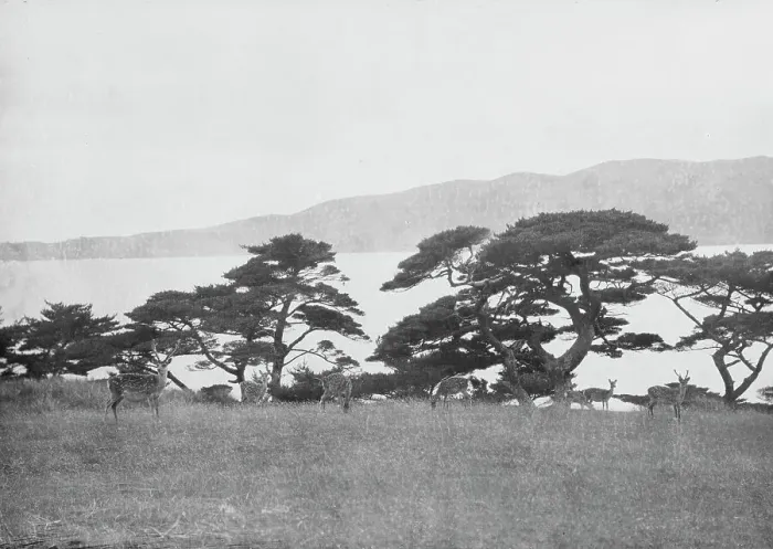 Framed Print : Travel views of Japan and Korea, 1908. Creator: Arnold Genthe Framed Print : Travel views of Japan and Korea, 1908. Creator: Arnold Genthe