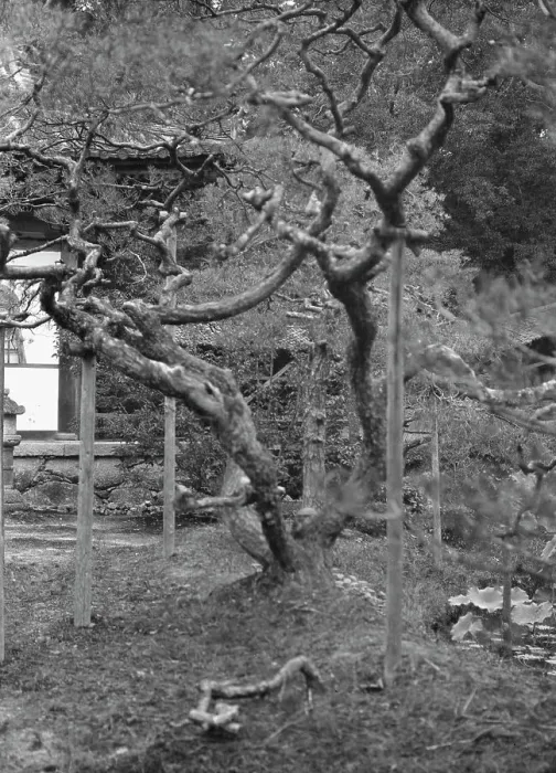 Framed Print : Travel views of Japan and Korea, 1908. Creator: Arnold Genthe Framed Print : Travel views of Japan and Korea, 1908. Creator: Arnold Genthe