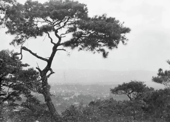 Framed Print : Travel views of Japan and Korea, 1908. Creator: Arnold Genthe