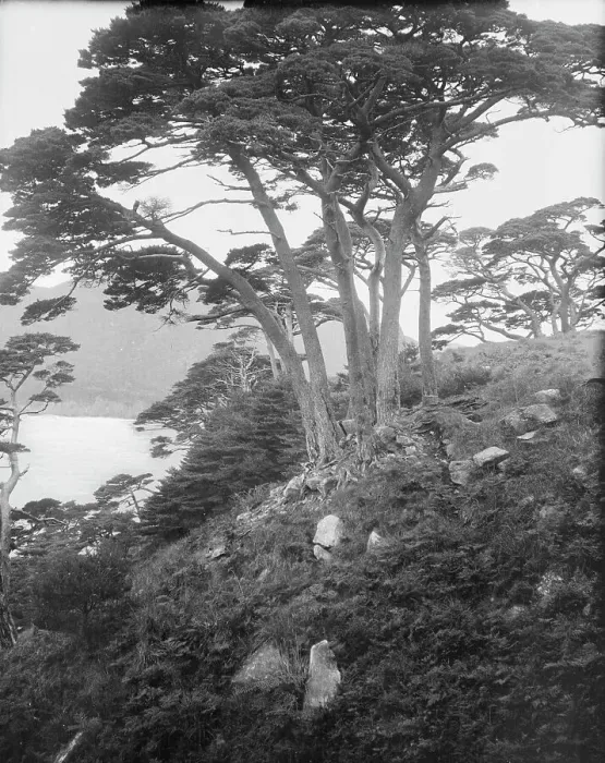 Framed Print : Travel views of Japan and Korea, 1908. Creator: Arnold Genthe Framed Print : Travel views of Japan and Korea, 1908. Creator: Arnold Genthe