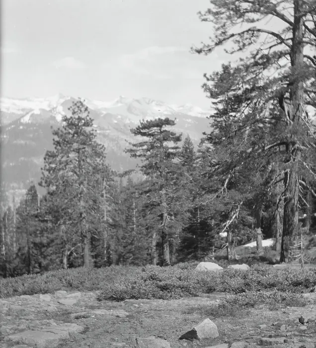 Framed Print : Travel views of Yosemite National Park, between 1903 and 1906. Creator: Arnold Genthe Framed Print : Travel views of Yosemite National Park, between 1903 and 1906. Creator: Arnold Genthe