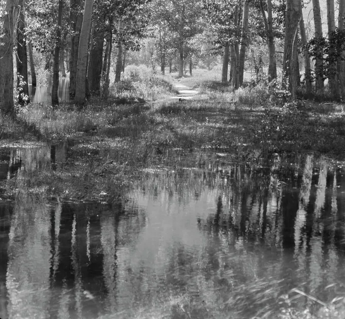 Framed Print : Travel views of Yosemite National Park, between 1903 and 1906. Creator: Arnold Genthe Framed Print : Travel views of Yosemite National Park, between 1903 and 1906. Creator: Arnold Genthe