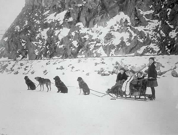 Traveling by dog sled, between c1900 and 1917. Creator: Unknown