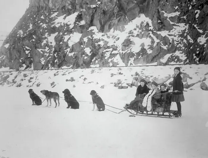 Framed Print : Traveling by dog sled, between c1900 and 1917. Creator: Unknown Framed Print : Traveling by dog sled, between c1900 and 1917. Creator: Unknown