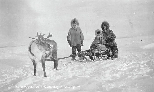 Traveling with reindeer, between c1900 and c1930. Creator: Unknown