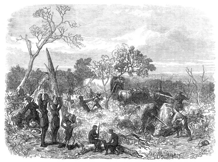 Framed Print : Travelling in Africa: cutting a road for the waggons, 1868. Creator: Unknown Framed Print : Travelling in Africa: cutting a road for the waggons, 1868. Creator: Unknown