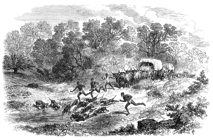 Framed Print : Travelling in Africa: the rain-pool by the way, 1869. Creator: Unknown Framed Print : Travelling in Africa: the rain-pool by the way, 1869. Creator: Unknown