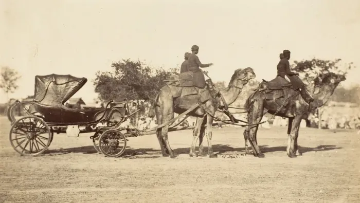 Framed Print : A Travelling Camel Carriage from Lahore to Peshawar, Governor Generals Camp, 1858-61 Framed Print : A Travelling Camel Carriage from Lahore to Peshawar, Governor Generals Camp, 1858-61