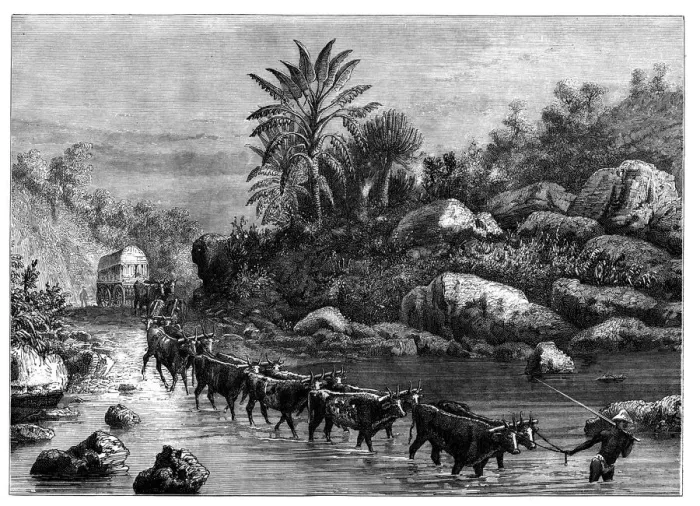 Framed Print : Travelling in Griqualand, South Africa, c1890 Framed Print : Travelling in Griqualand, South Africa, c1890