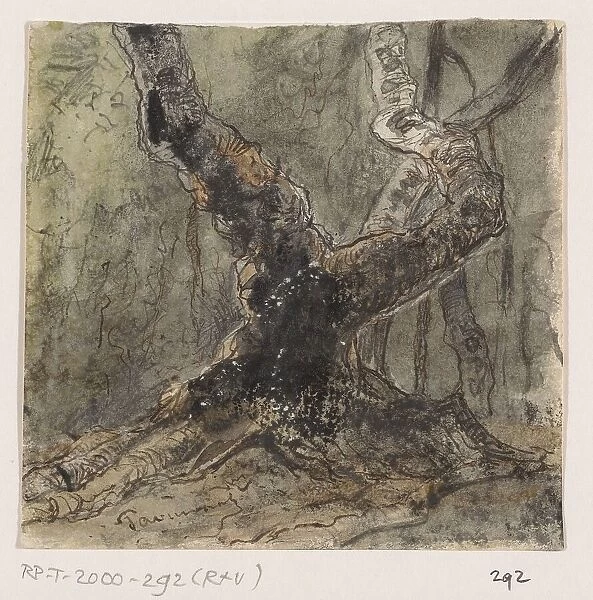Tree, 1861. Creator: Johannes Tavenraat