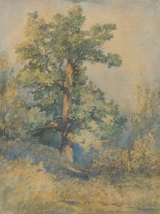 Framed Print : Tree, 1872. Creator: Ladislav Mednyanszky Framed Print : Tree, 1872. Creator: Ladislav Mednyanszky