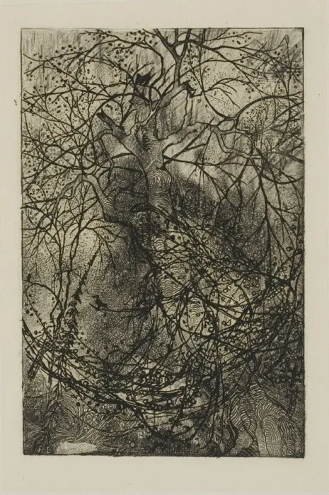 Framed Print : Tree Branches, n. d. Creator: Rodolphe Bresdin Framed Print : Tree Branches, n. d. Creator: Rodolphe Bresdin