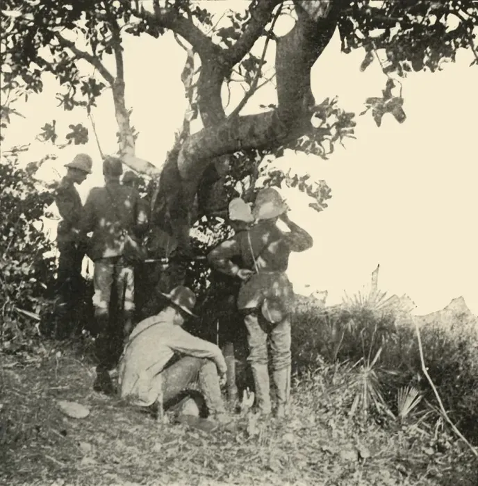 Framed Print : Tree from which Captain Paget... Saw... San Juan Battle, Spanish-American War, June 1898, (1899) Framed Print : Tree from which Captain Paget... Saw... San Juan Battle, Spanish-American War, June 1898, (1899)