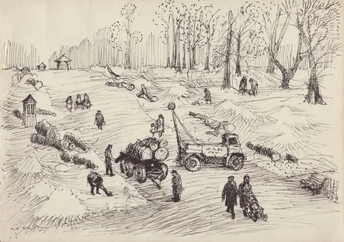 Framed Print : Tree-felling, c1950. Creator: Shirley Markham Framed Print : Tree-felling, c1950. Creator: Shirley Markham