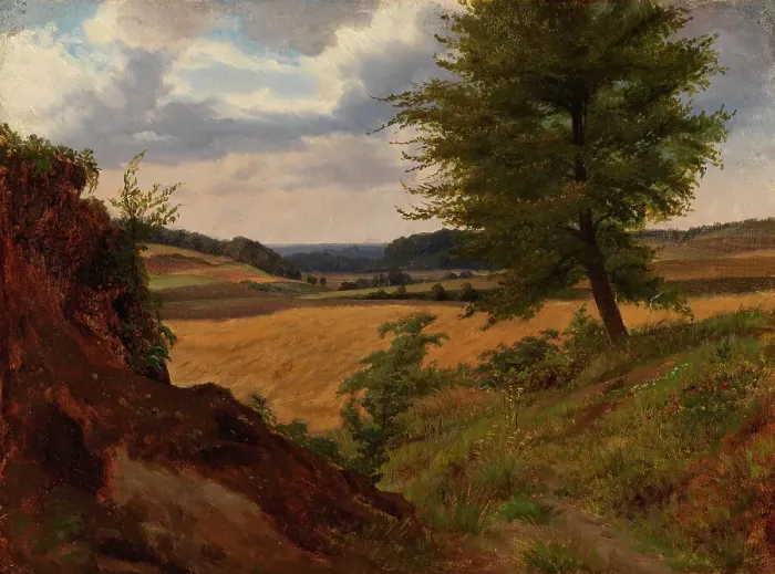 Framed Print : Tree in Field Landscape, Study, 1854. Creator: Werner Holmberg