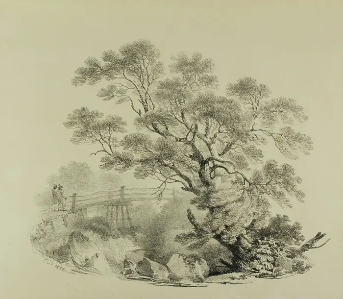 Framed Print : Tree and Footbridge, 1820. Creator: Francis Nicholson Framed Print : Tree and Footbridge, 1820. Creator: Francis Nicholson