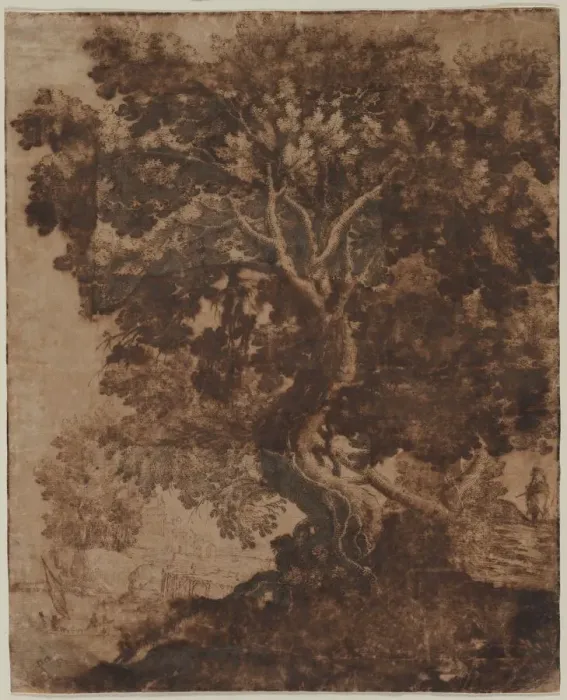 Framed Print : Tree in a Landscape, mid 17th century. Creator: Ercole Bazicaluva (Italian, c. 1610-1661) Framed Print : Tree in a Landscape, mid 17th century. Creator: Ercole Bazicaluva (Italian, c. 1610-1661)