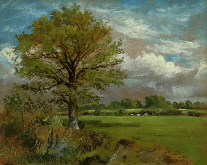 Framed Print : Tree In A Meadow, c1850. Creator: Lionel Constable Framed Print : Tree In A Meadow, c1850. Creator: Lionel Constable