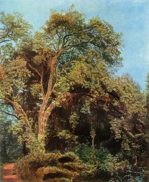 Tree in the Park, mid 19th century, (1965). Creator: Aleksandr Ivanov
