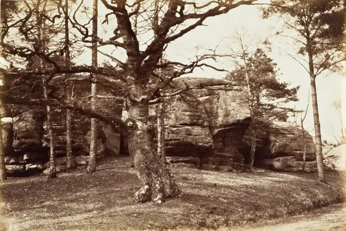 Framed Print : Tree and Rock, c.1850. Creator: Henrietta Augusta Mostyn Framed Print : Tree and Rock, c.1850. Creator: Henrietta Augusta Mostyn