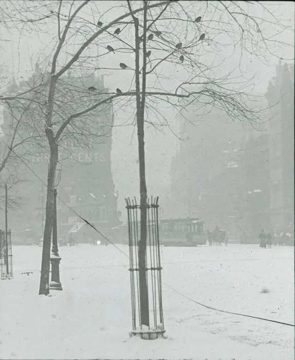 Framed Print : Tree in Snow, New York City, 1900 / 02. Creator: Alfred Stieglitz Framed Print : Tree in Snow, New York City, 1900 / 02. Creator: Alfred Stieglitz