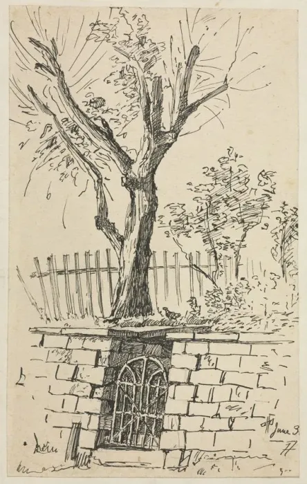 Framed Print : Tree on Top of a Stone Wall, Cleveland. Creator: Otto H. Bacher (American, 1856-1909) Framed Print : Tree on Top of a Stone Wall, Cleveland. Creator: Otto H. Bacher (American, 1856-1909)