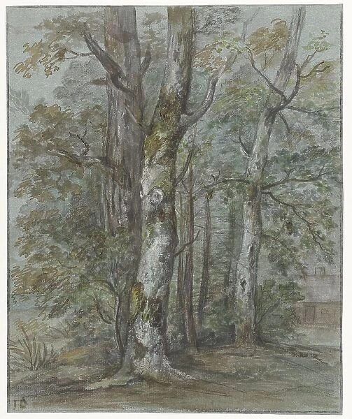 Tree studies, 1780-1855. Creator: Jan Dasveldt