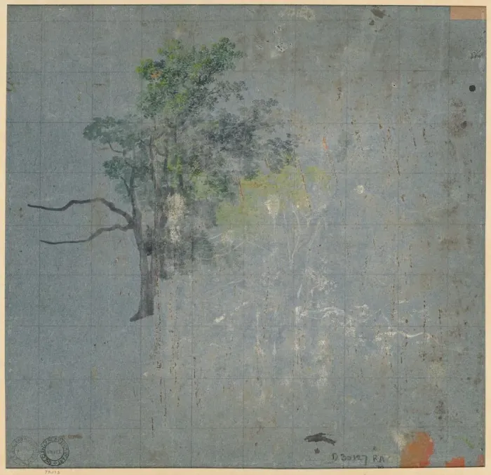 Framed Print : Tree Studies, first half 1800s. Creator: Johann Jacob Dorner (German, 1775-1852) Framed Print : Tree Studies, first half 1800s. Creator: Johann Jacob Dorner (German, 1775-1852)