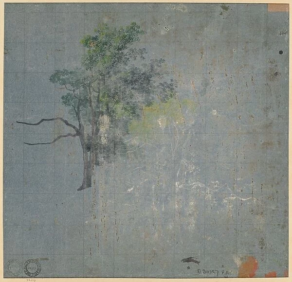 Tree Studies, first half 1800s. Creator: Johann Jacob Dorner (German, 1775-1852)