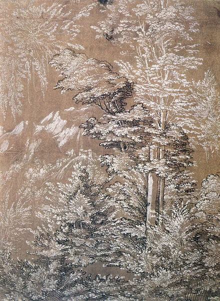 Tree Study, 1519 Artist: Wolf Huber