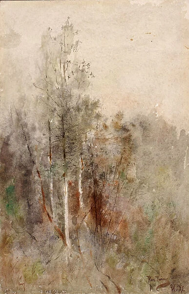 A Tree Study, 1879. Creator: Ross Turner
