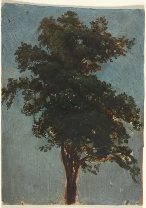 Framed Print : Tree Study, second third 1800s. Creator: Alexandre Calame (Swiss, 1810-1864), attributed to Framed Print : Tree Study, second third 1800s. Creator: Alexandre Calame (Swiss, 1810-1864), attributed to