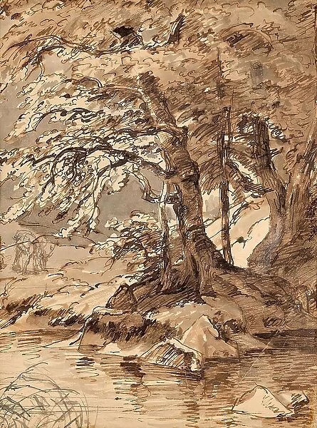 Tree study, undated. (c1850s) Creator: Friedrich Gauermann