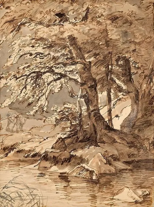 Framed Print : Tree study, undated. (c1850s) Creator: Friedrich Gauermann Framed Print : Tree study, undated. (c1850s) Creator: Friedrich Gauermann