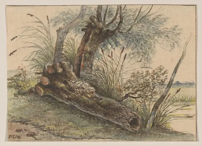 Framed Print : Tree stump in the reeds, 1801-1873. Creator: George Pieter Westenberg Framed Print : Tree stump in the reeds, 1801-1873. Creator: George Pieter Westenberg