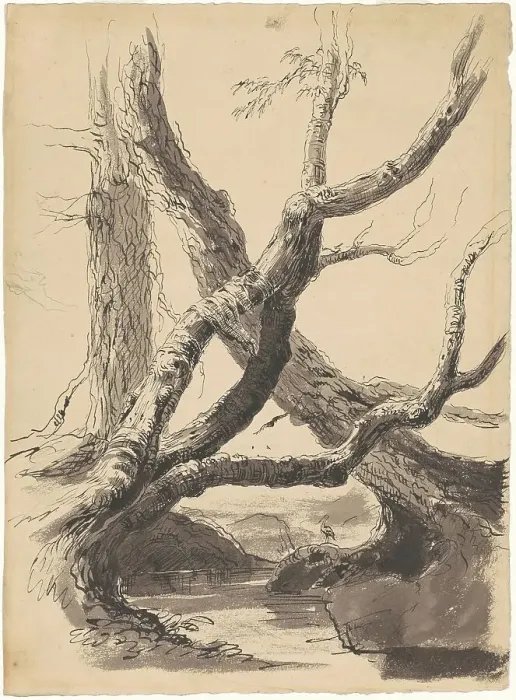 Framed Print : Tree Trunks, 1825-1840. Creator: Thomas Cole Framed Print : Tree Trunks, 1825-1840. Creator: Thomas Cole